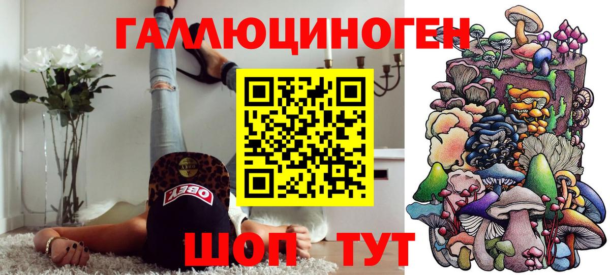 Меф Камышин