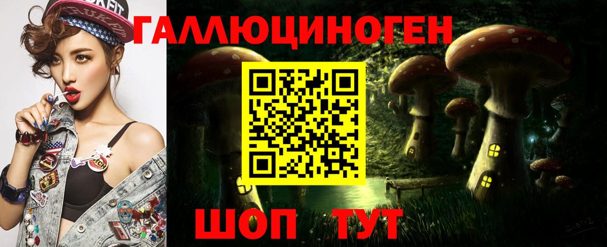 Камышин  Галлюциногенные грибы прущие грибы  Вход с VPN 